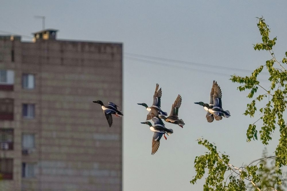 Photograph by Дмитрий