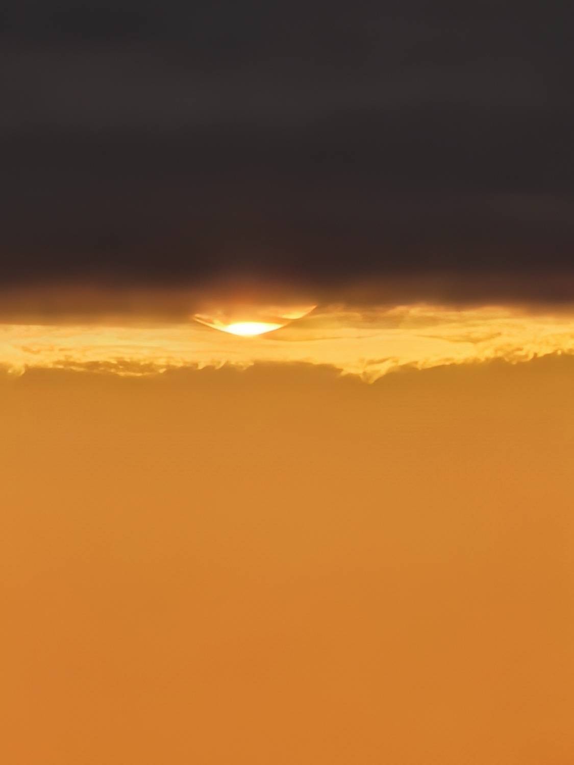 Photo #13689358