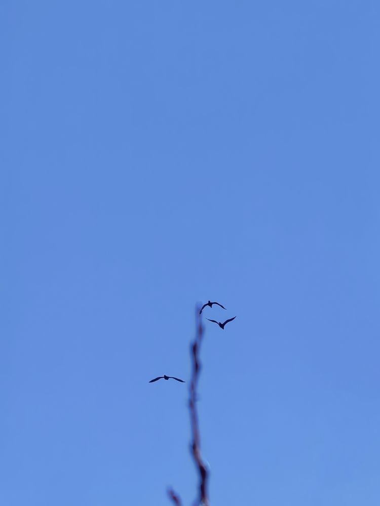 Photograph by Буторина Людмила