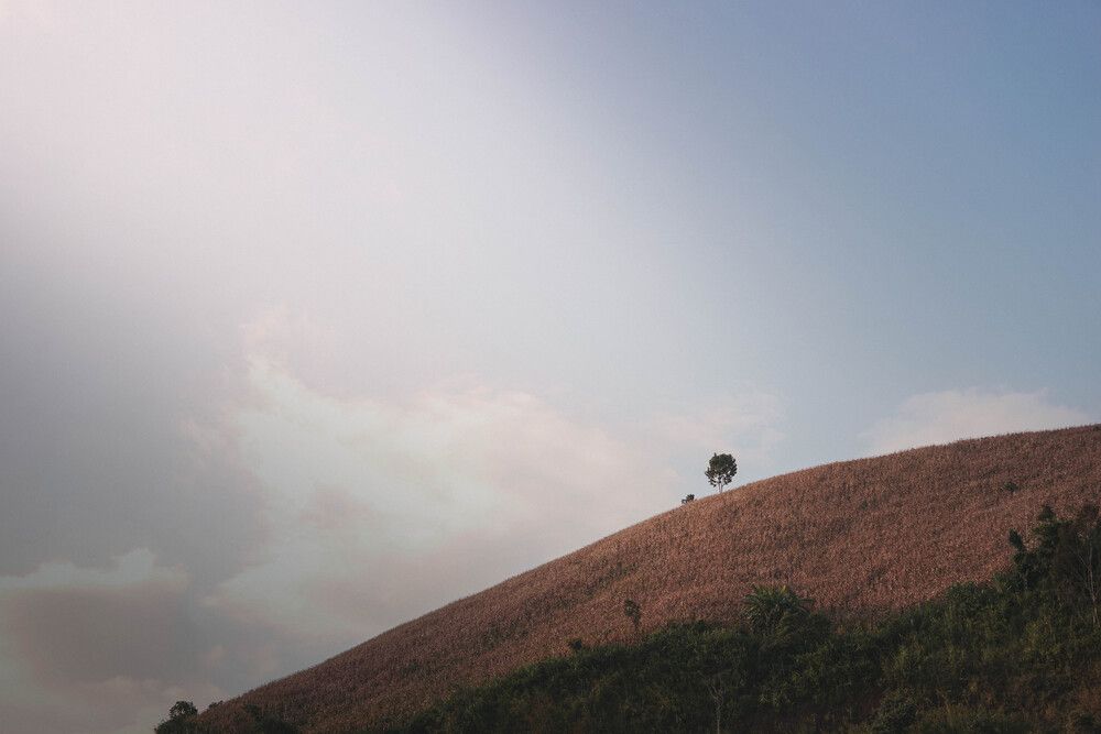 Photograph by THANG Pham