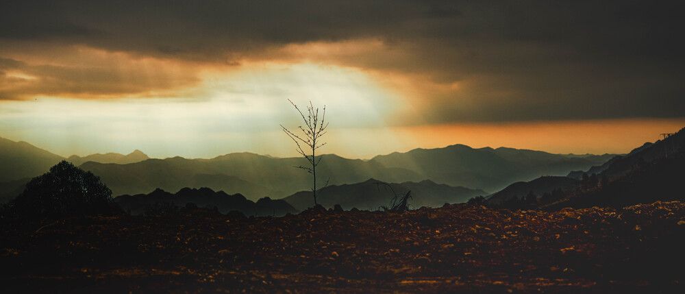 Photograph by THANG Pham