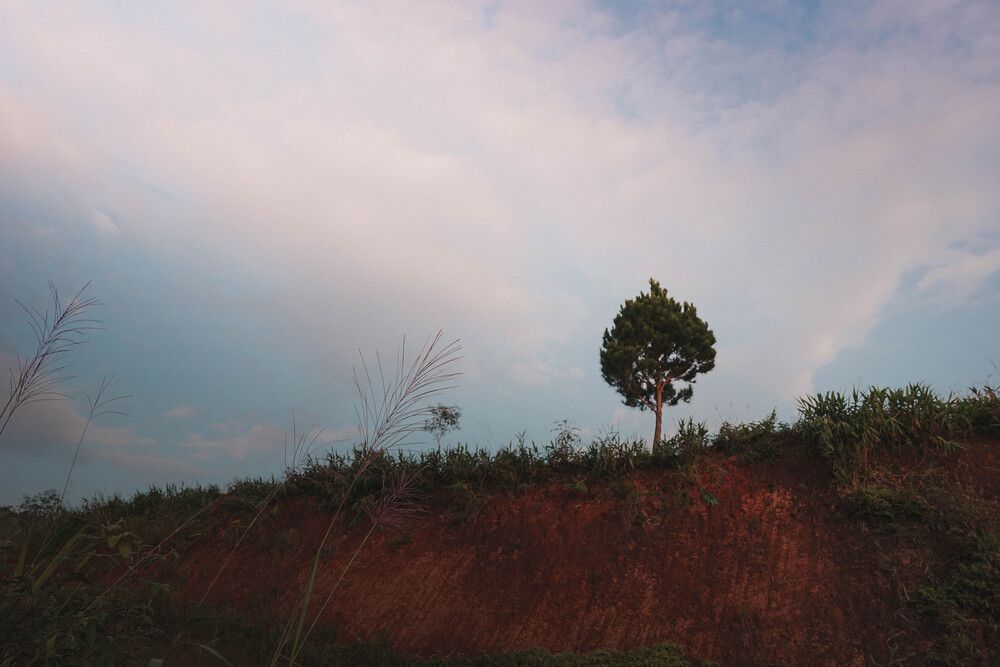 Photograph by THANG Pham