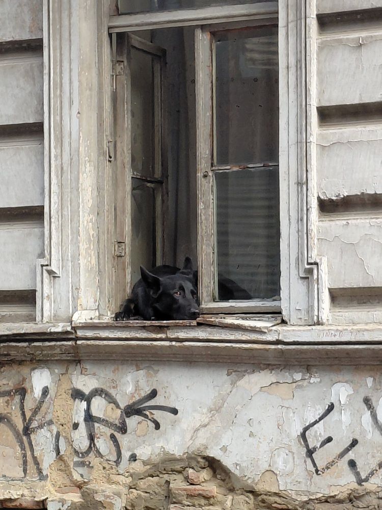 Photograph by Ольга Кузнецова