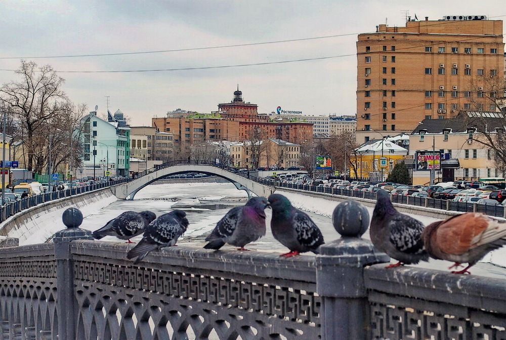 Photograph by Анастасия Смирнова