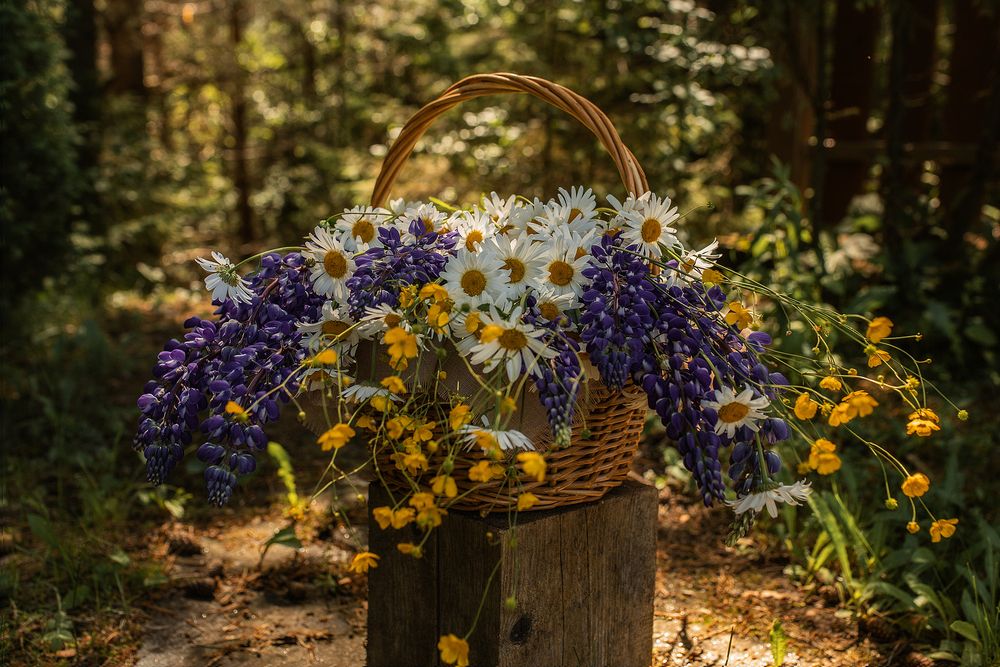 Photograph by Альбина Кадочникова