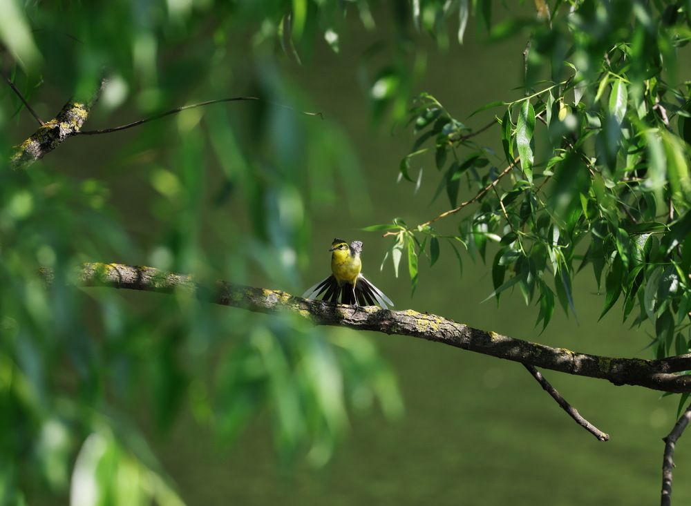 Photograph by Ольга