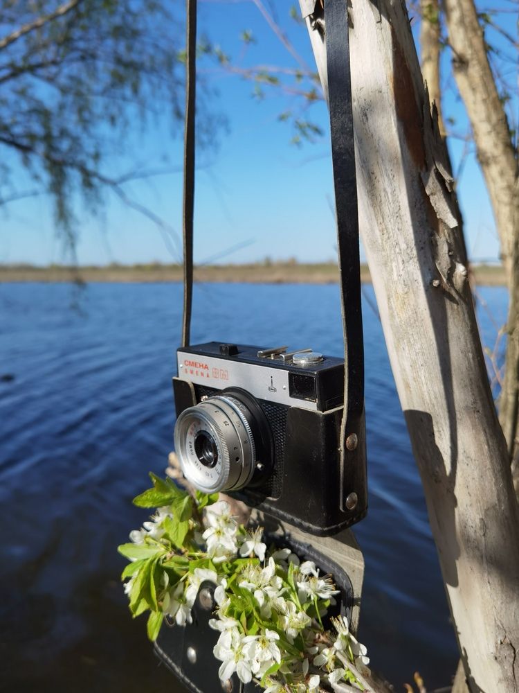 Фотография автора Ольга Богданова