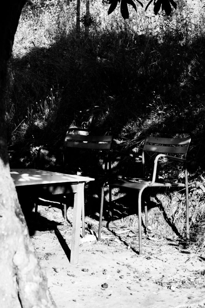 Photograph by Moony Wolffie