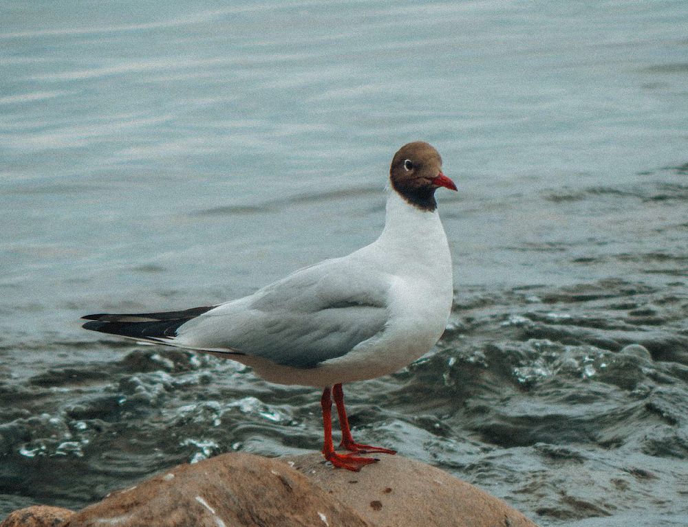Photograph by Виктория Сергейко