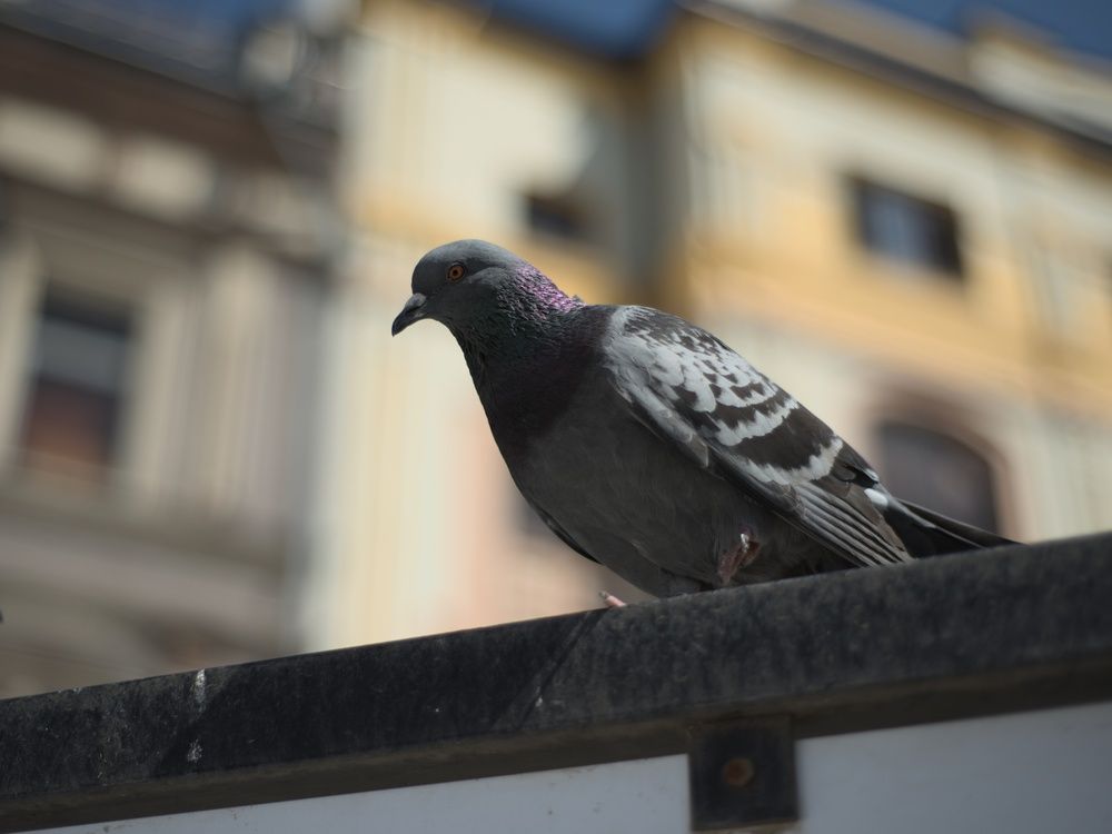 Photograph by Rawis Sultanov
