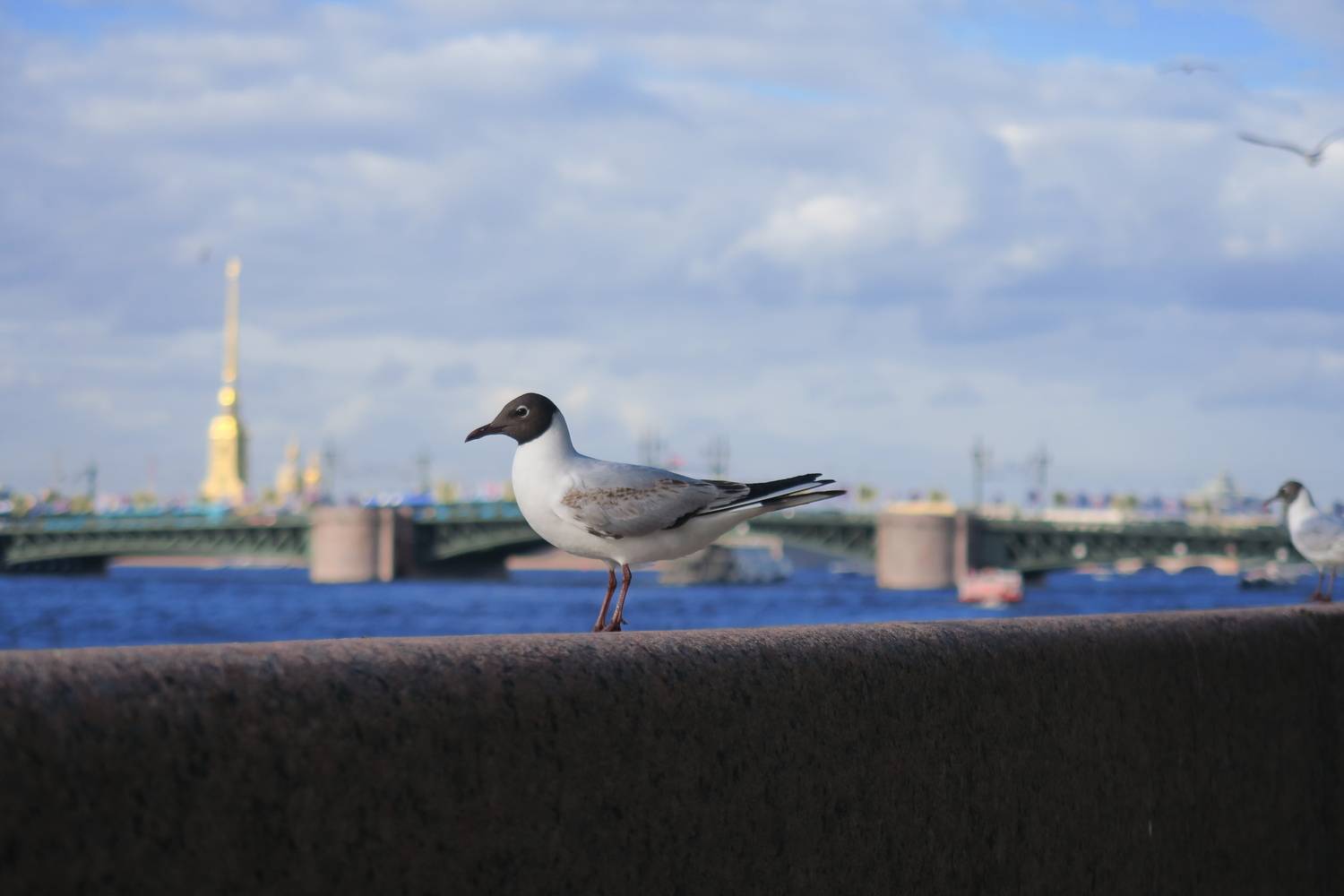 Photo #13689560