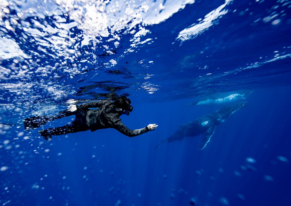 Photograph by nishijima takayuki