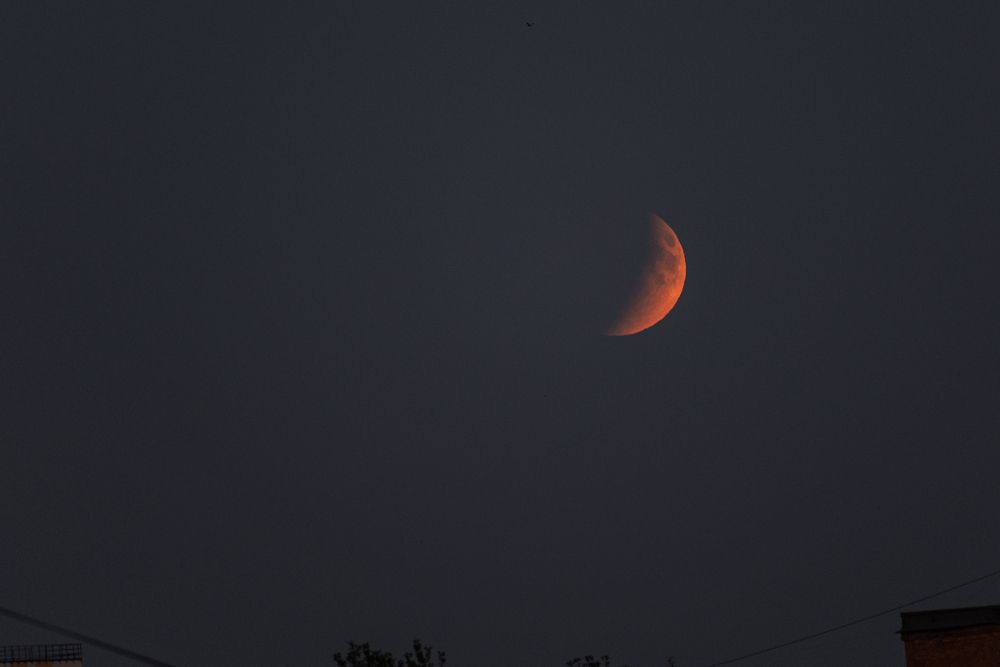 Photo #13689583