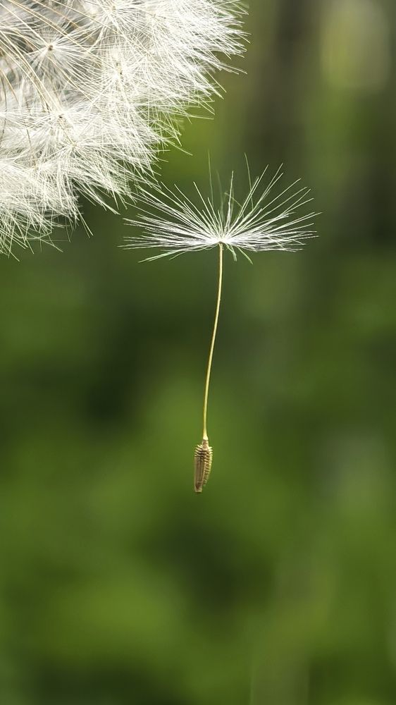 Photograph by Буторина Людмила