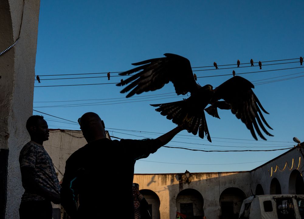 Photograph by Eugene Resh