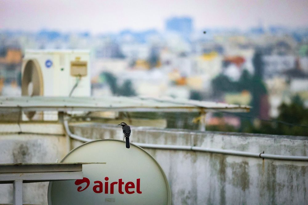 Photograph by Subhajit Datta