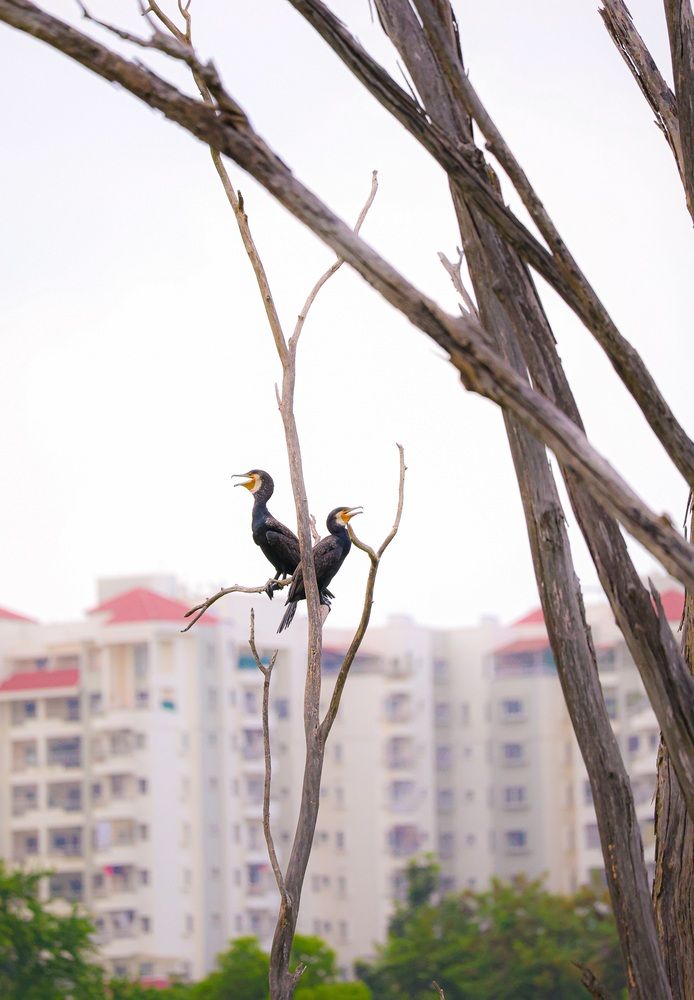 Photograph by Subhajit Datta