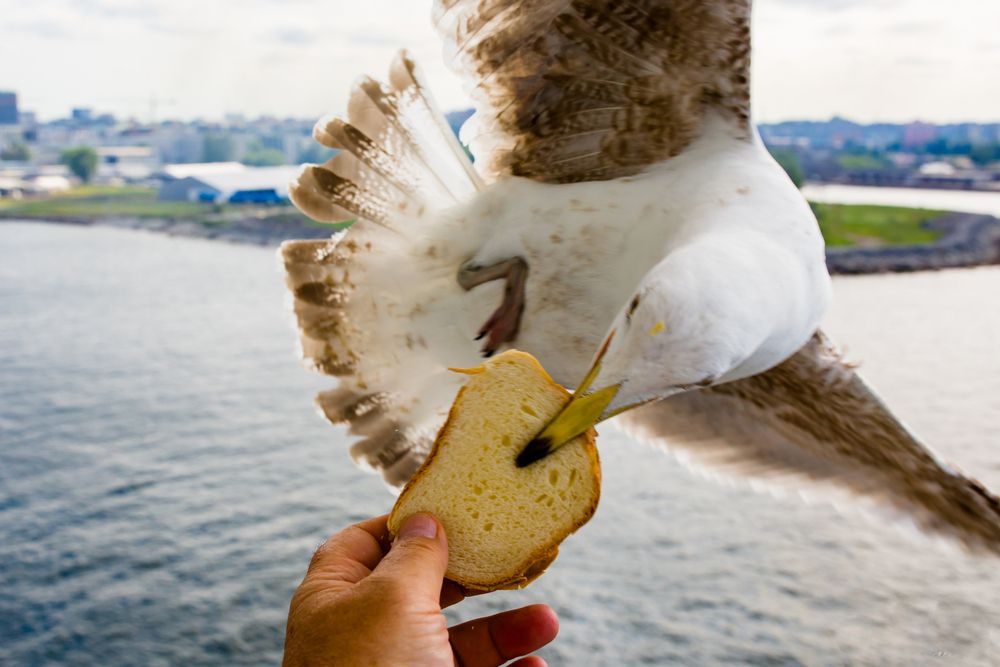 Photograph by Владимир Говоров