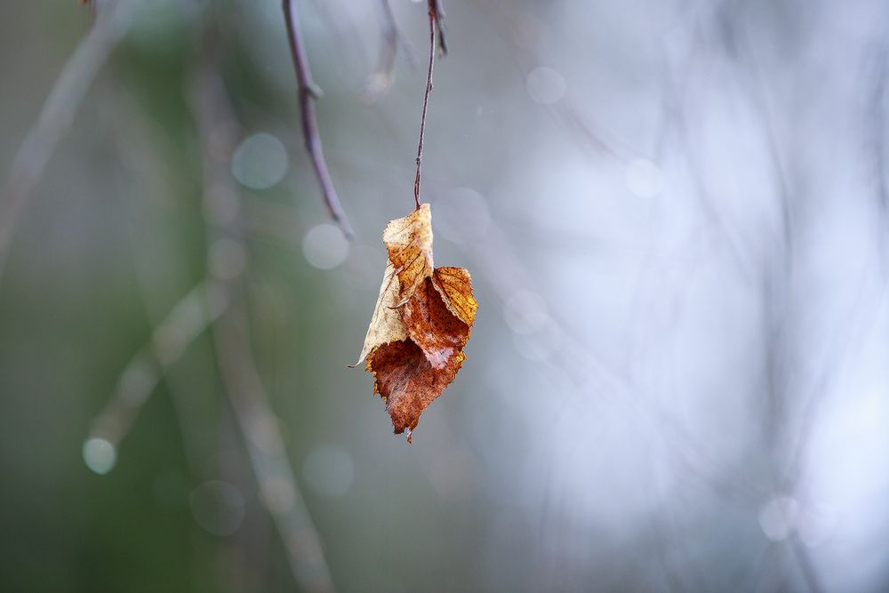 Photograph by Сергей Олюков