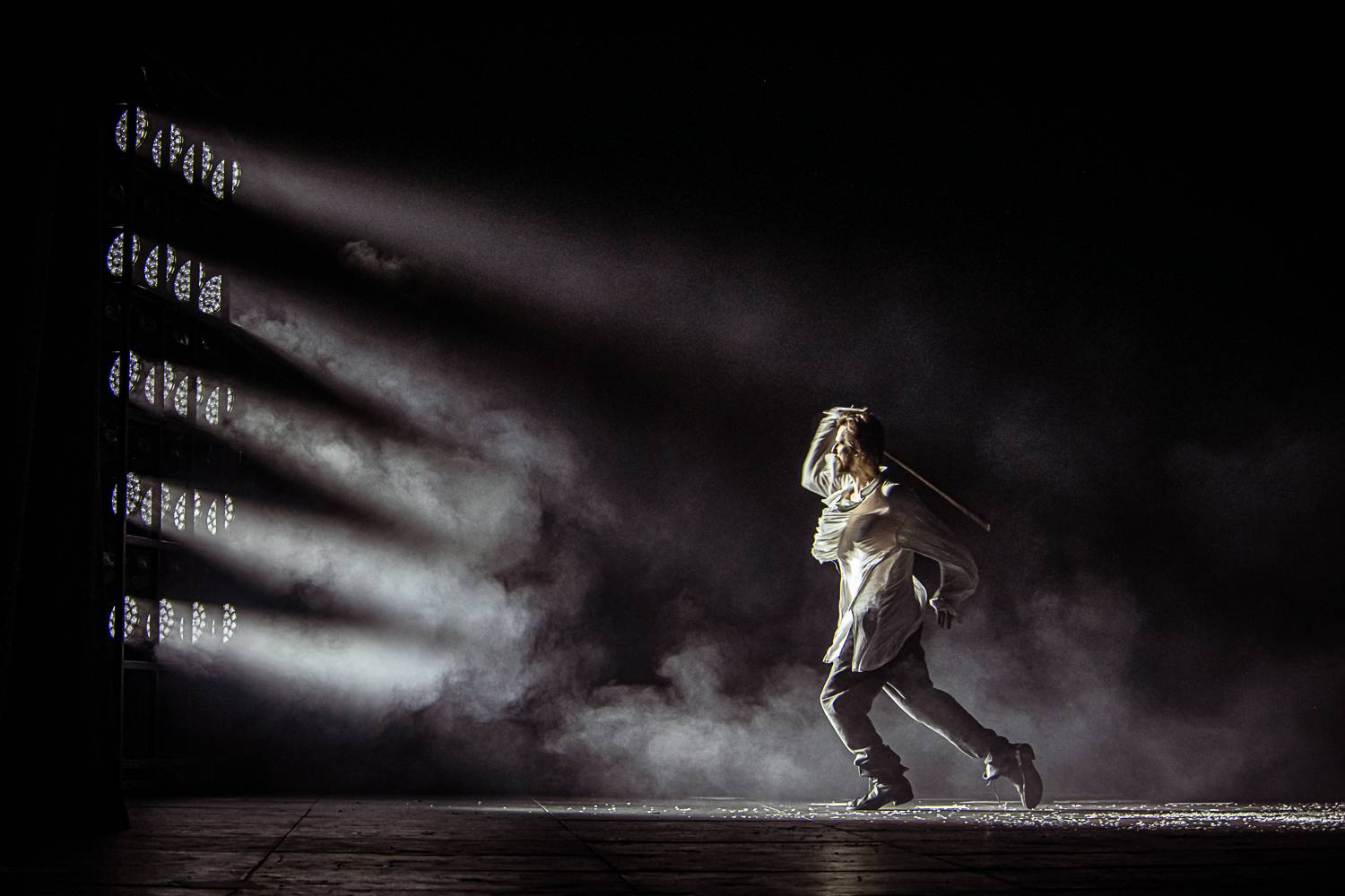 Photo #13689687
