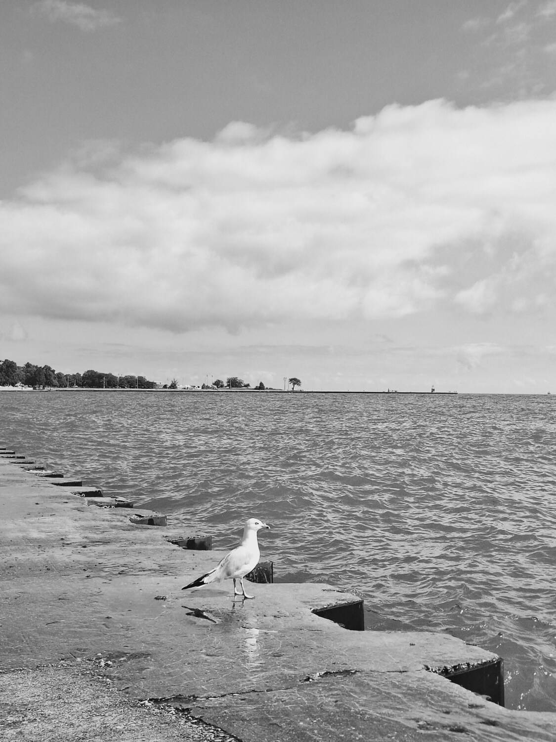 Photo #13689700