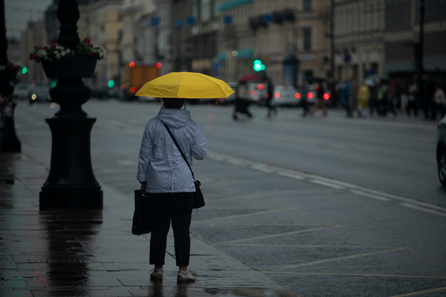 Photo #13689764