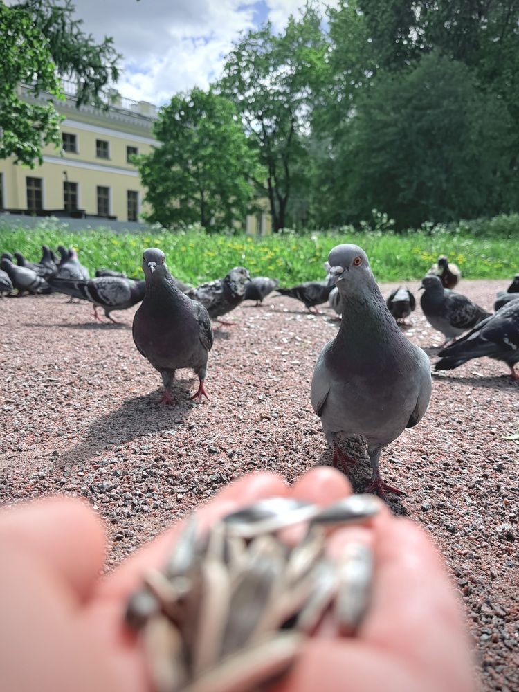 Фотография автора Регина Давыдова