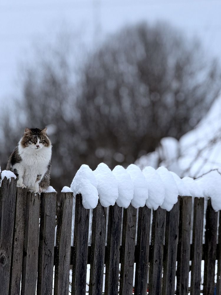 Photograph by Надежда Сердюк