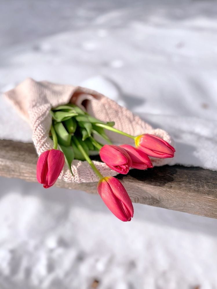 Photograph by Жанна Каргаполова