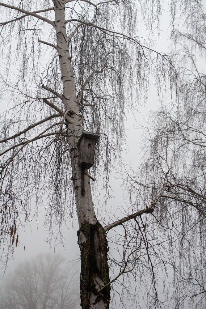 Photograph by Нина Фролова
