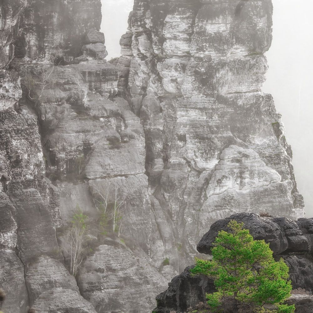 Photograph by Alexey Shaporin