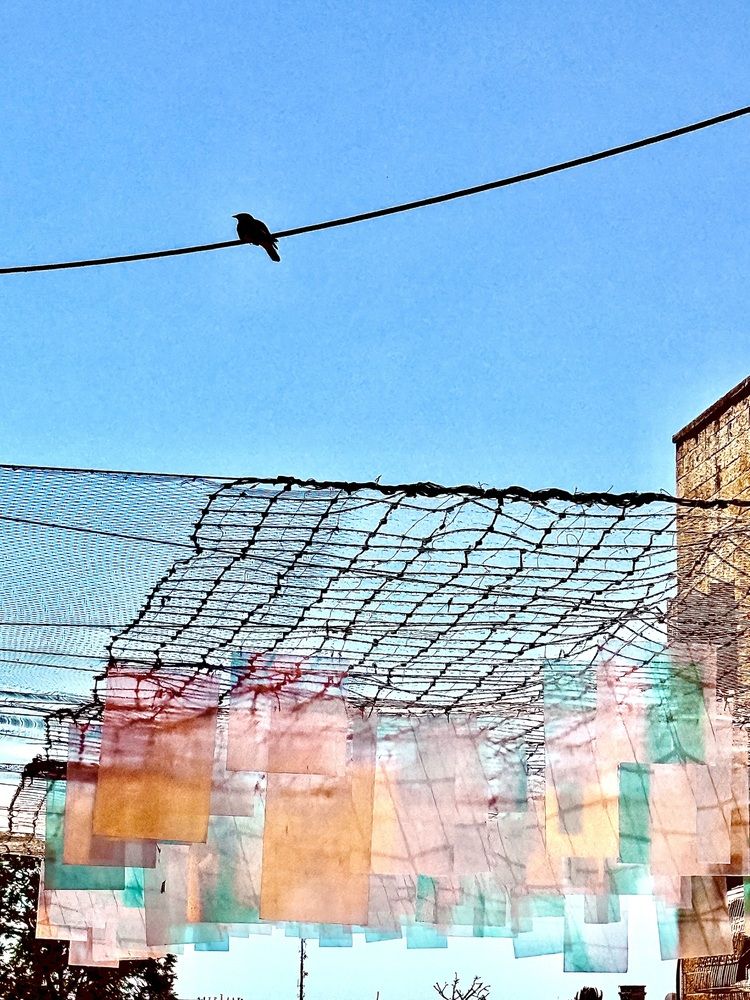 Photograph by Алла Киселева