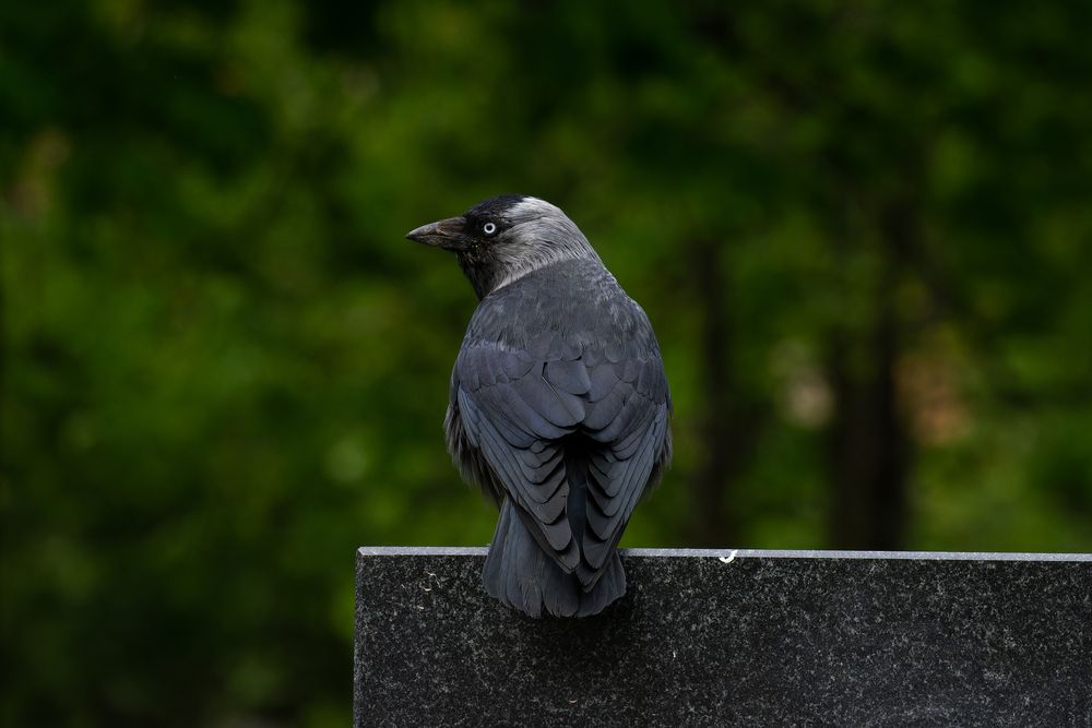 Photograph by Ольга Кузнецова