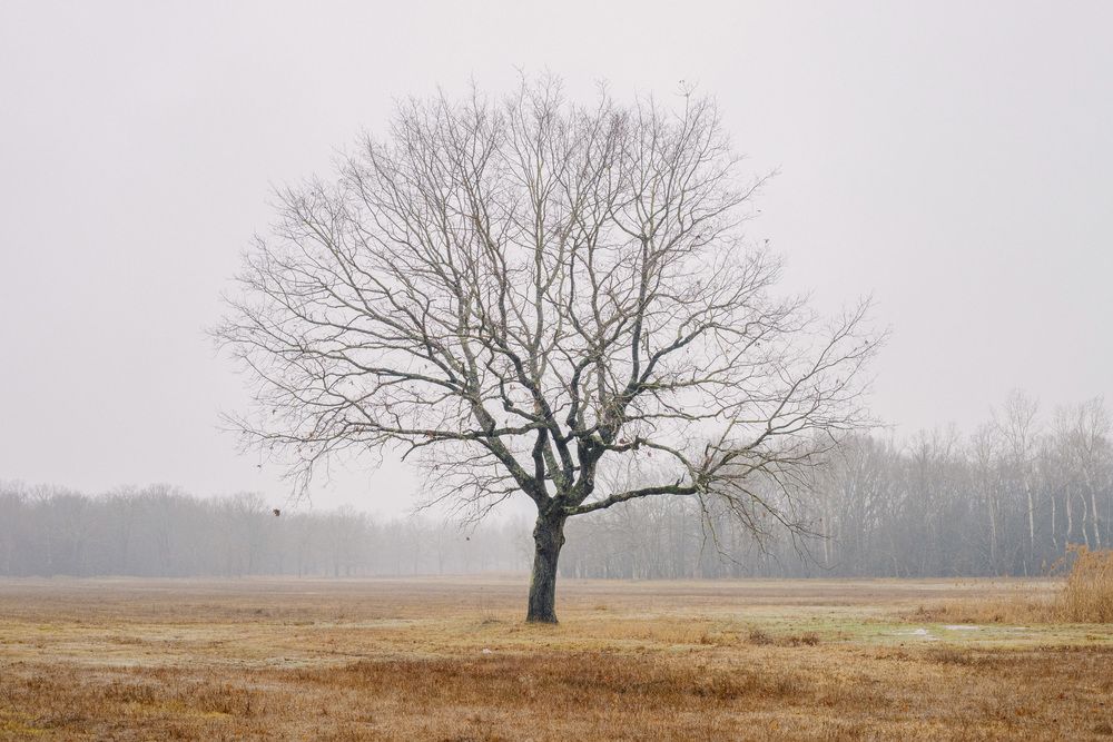 Photograph by Марат Гизатуллин