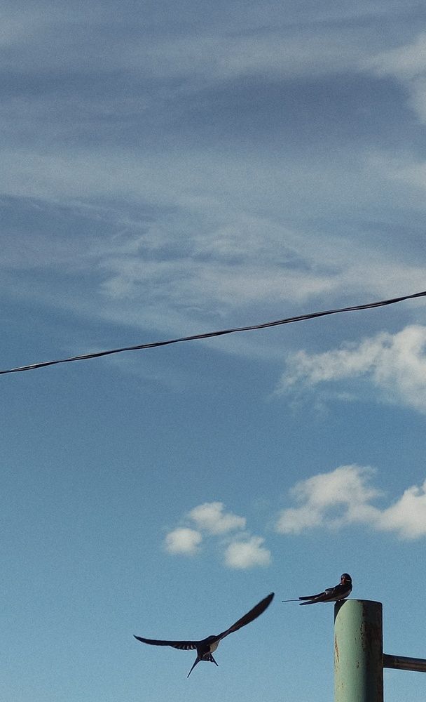 Photograph by Анастасия Чепурнова