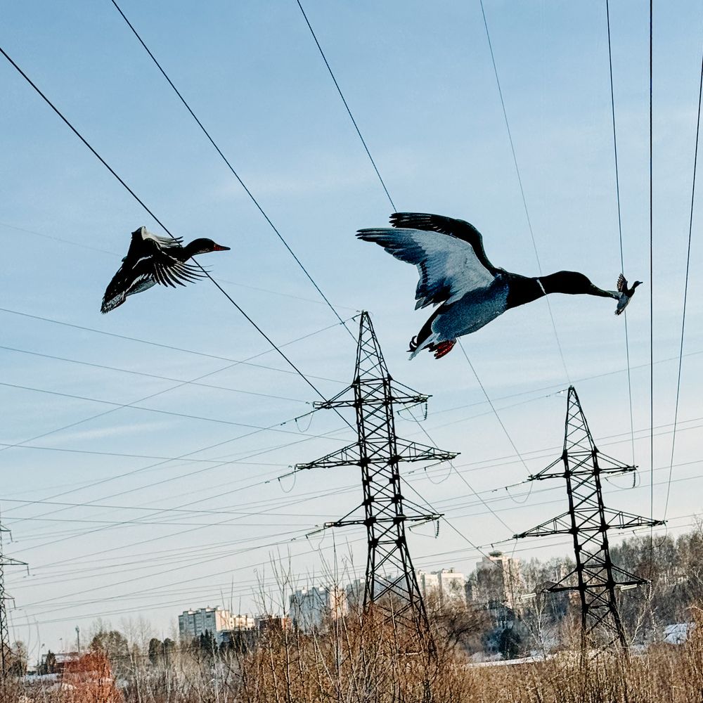 Photograph by Ольга Имамкулиева
