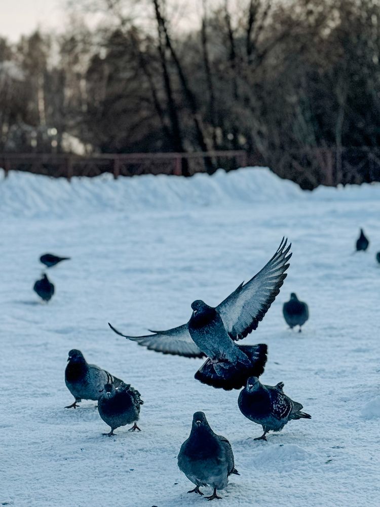 Photograph by Ольга Имамкулиева