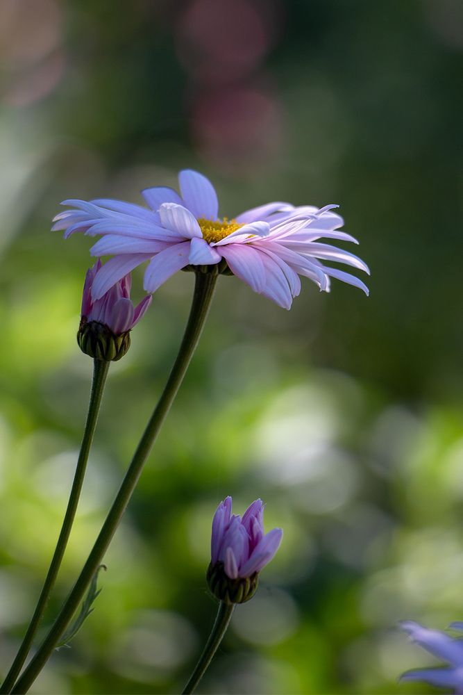 Photograph by Nadezhda Khrustaleva