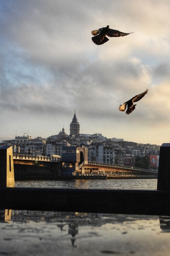 Photograph by fuat cimok