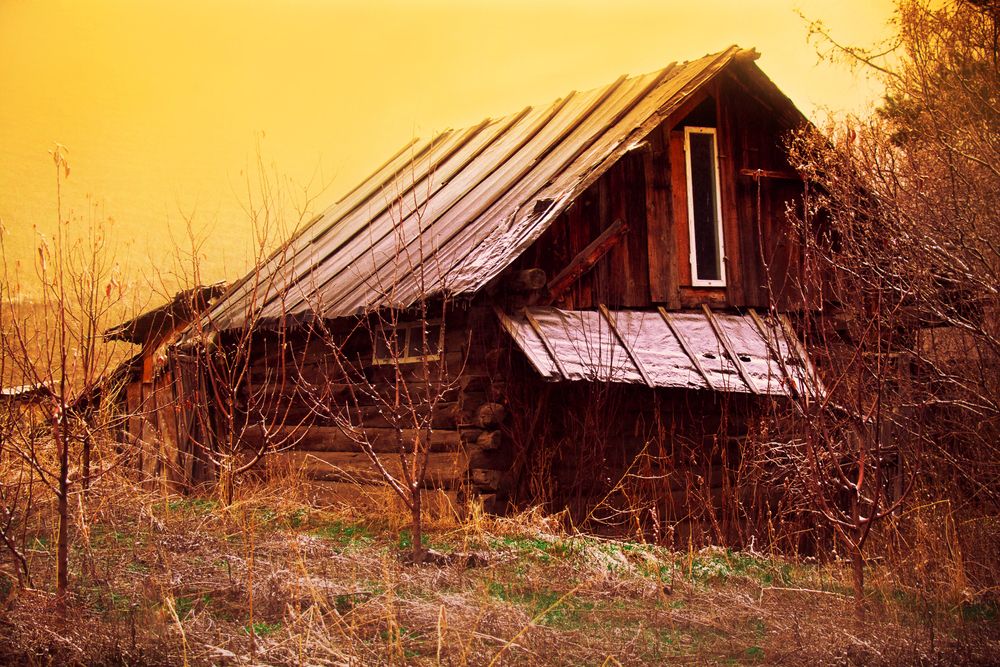 Photograph by Вероника Ким