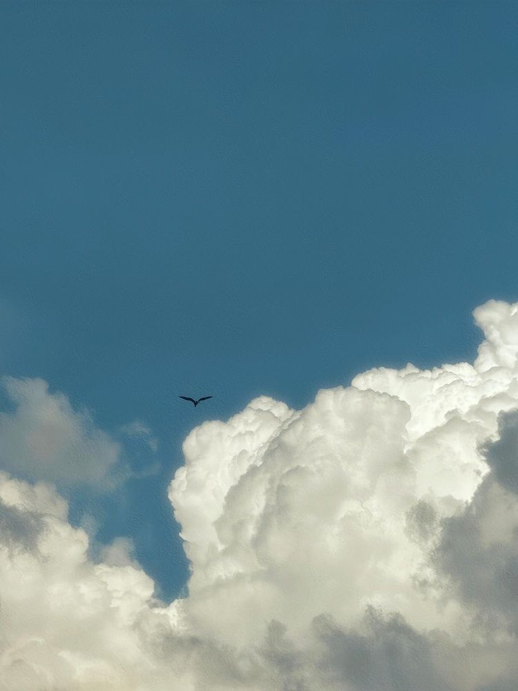 Above the Silence