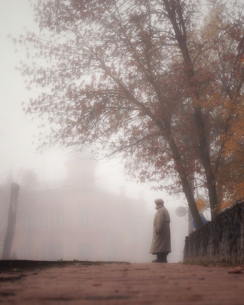 Photograph by Владимир Петухов