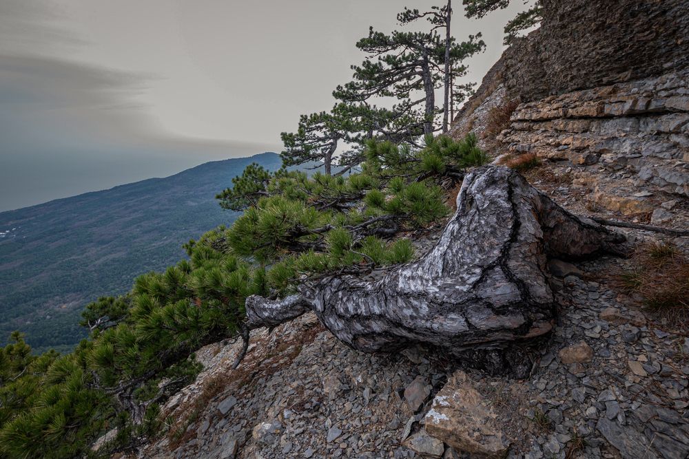 Photograph by Alex Kov
