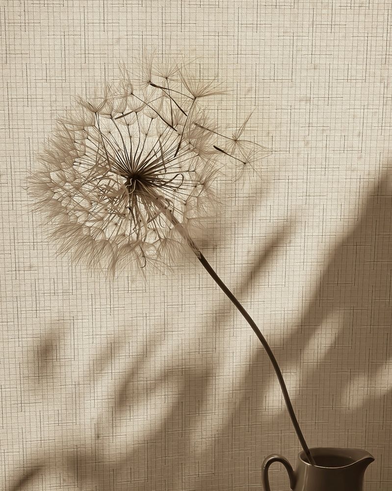 Photograph by Светлана Рубцова