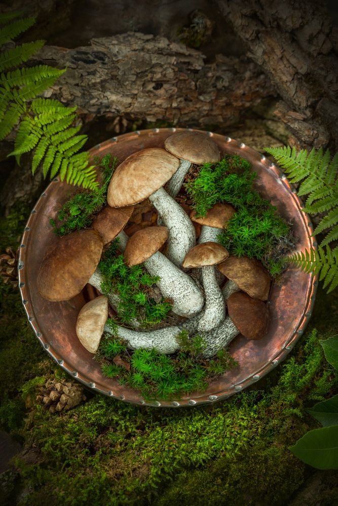 Photograph by Arina Bogachyova
