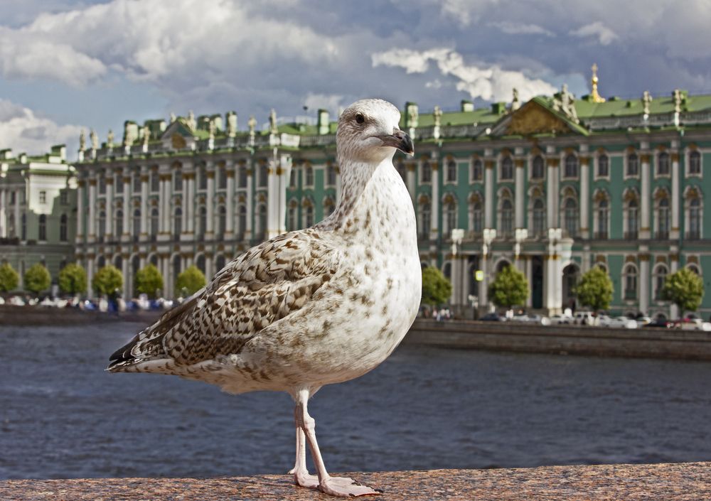 Photograph by Дарья Козлова