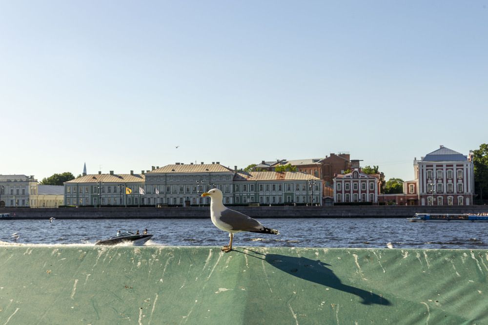 Photograph by Юля Александрова