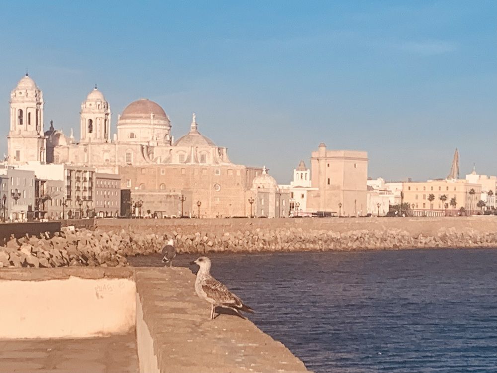 Photograph by Carmen Meló Mansanet