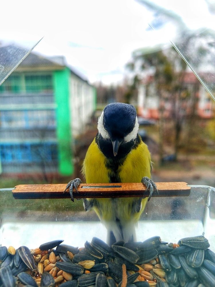 Photograph by Юлия