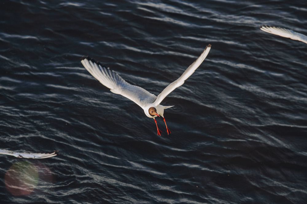 Photograph by Марат Гизатуллин